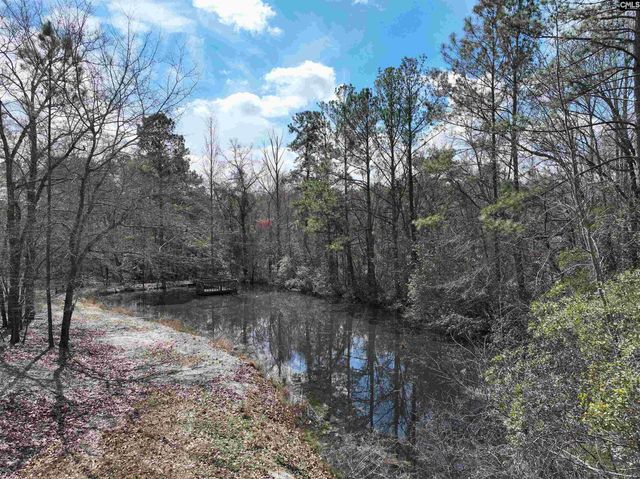 141 Woodstork Way, Lexington, SC 29073