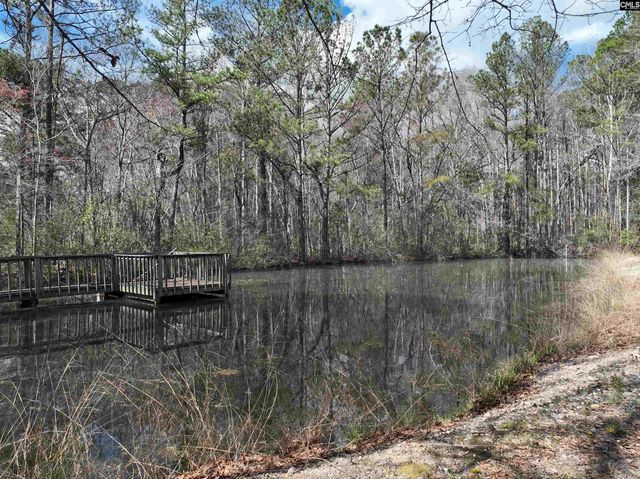 141 Woodstork Way, Lexington, SC 29073