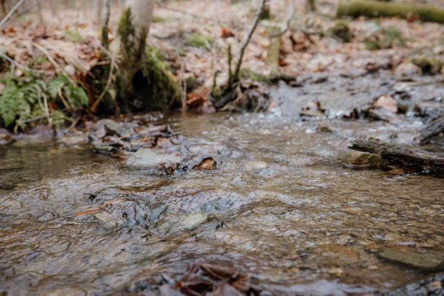 19466 ELGIN Road, Corry, PA 16407