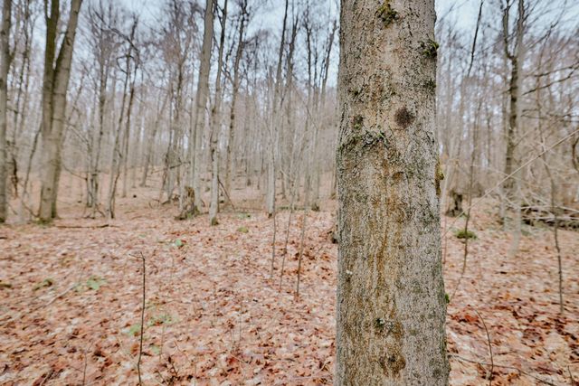 19466 ELGIN Road, Corry, PA 16407