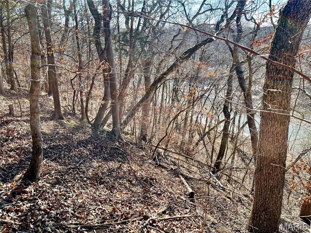 227 Champion Oak Trail, Gerald, MO 63037