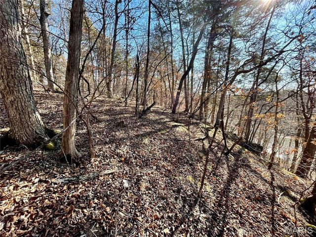 227 Champion Oak Trail, Gerald, MO 63037