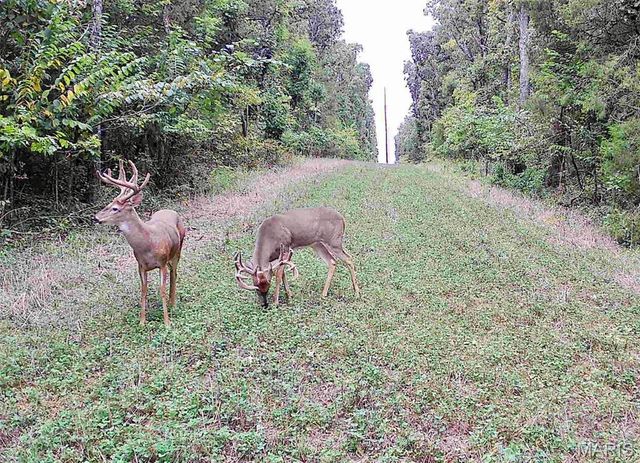 227 Champion Oak Trail, Gerald, MO 63037