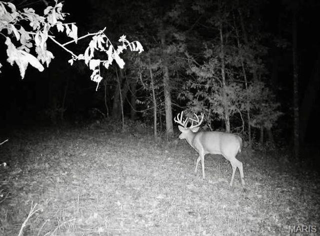 227 Champion Oak Trail, Gerald, MO 63037