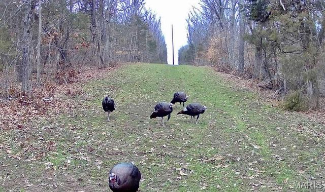 227 Champion Oak Trail, Gerald, MO 63037