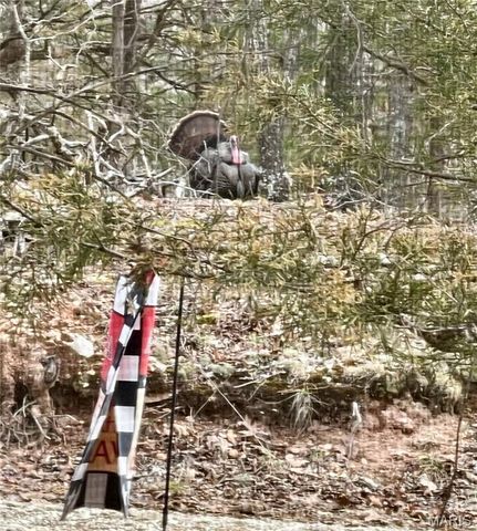 227 Champion Oak Trail, Gerald, MO 63037