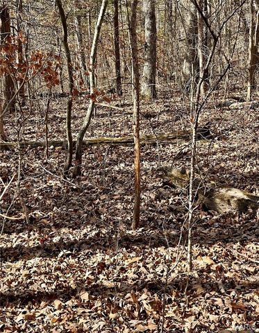 227 Champion Oak Trail, Gerald, MO 63037