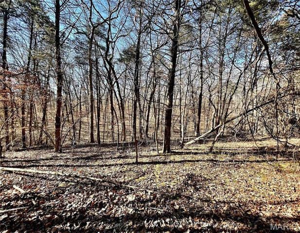 227 Champion Oak Trail, Gerald, MO 63037