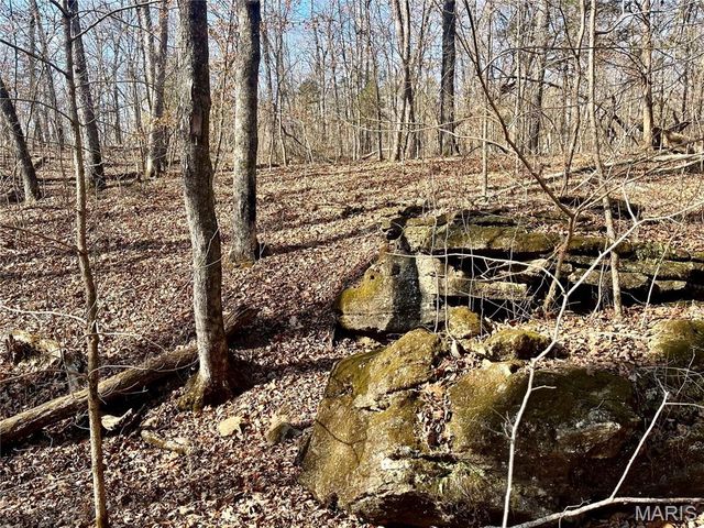 227 Champion Oak Trail, Gerald, MO 63037