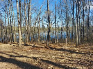0 Elkhorn rd, Springville, TN 38256