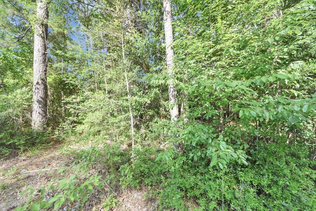 1240 Oliver Lane, Cleveland, TX 77328
