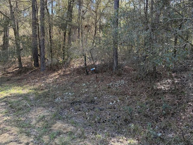 SE 7TH AVENUE, Interlachen, FL 32148