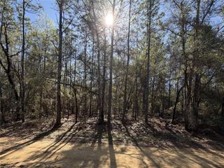 SE 7TH AVENUE, Interlachen, FL 32148