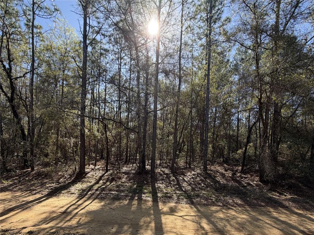 SE 7TH AVENUE, Interlachen, FL 32148