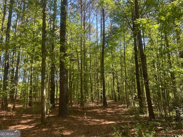 20112 Highway 85, Gay, GA 30218