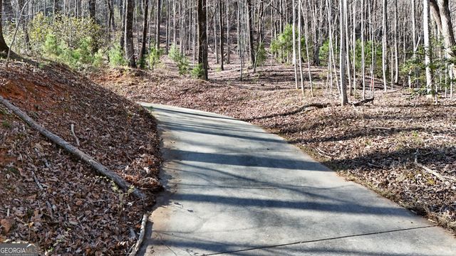 LOT 5 AND LOT 6 Chimney Mountain Road, Sautee Nacoochee, GA 30571