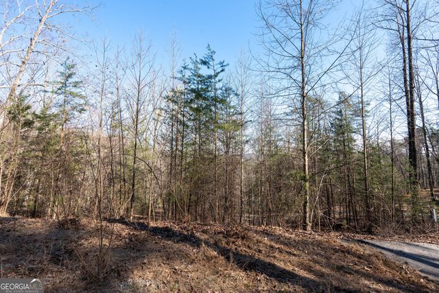 LOT 5 AND LOT 6 Chimney Mountain Road, Sautee Nacoochee, GA 30571