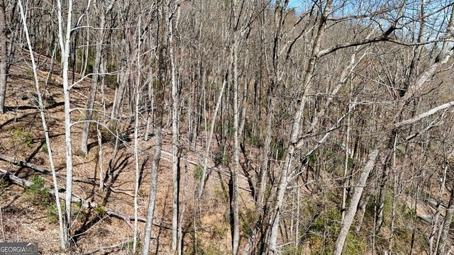 LOT 5 AND LOT 6 Chimney Mountain Road, Sautee Nacoochee, GA 30571