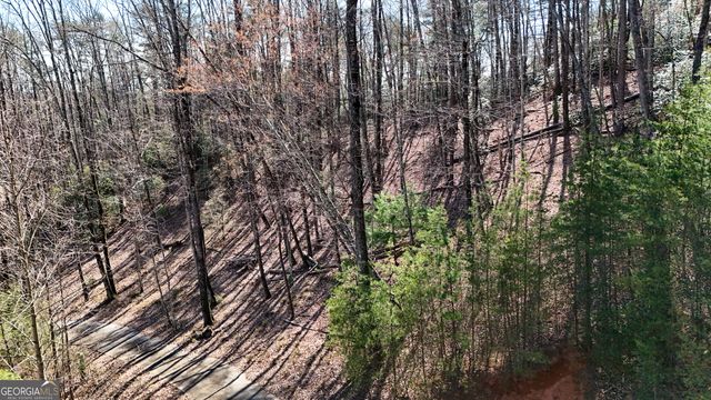LOT 5 AND LOT 6 Chimney Mountain Road, Sautee Nacoochee, GA 30571