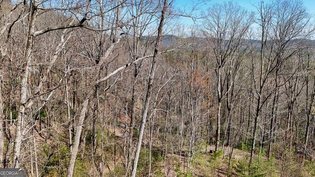 LOT 5 AND LOT 6 Chimney Mountain Road, Sautee Nacoochee, GA 30571