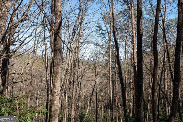 LOT 5 AND LOT 6 Chimney Mountain Road, Sautee Nacoochee, GA 30571