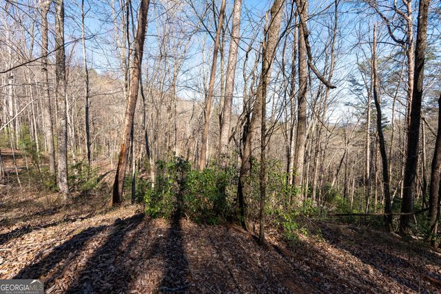 LOT 5 AND LOT 6 Chimney Mountain Road, Sautee Nacoochee, GA 30571