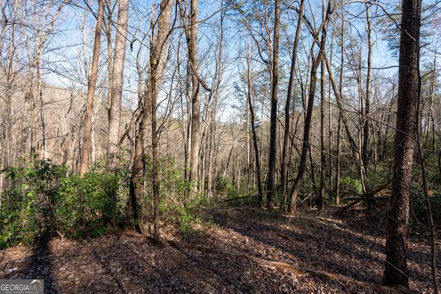 LOT 5 AND LOT 6 Chimney Mountain Road, Sautee Nacoochee, GA 30571