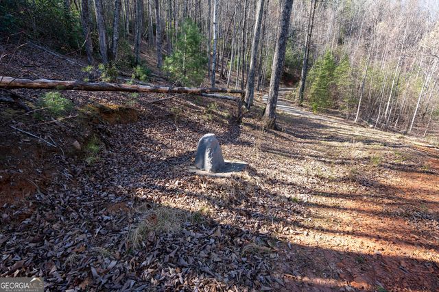 LOT 5 AND LOT 6 Chimney Mountain Road, Sautee Nacoochee, GA 30571
