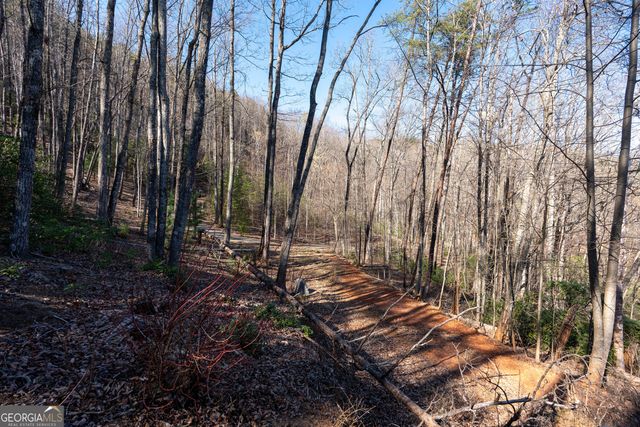 LOT 5 AND LOT 6 Chimney Mountain Road, Sautee Nacoochee, GA 30571