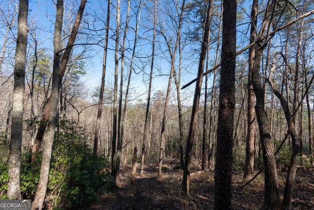 LOT 5 AND LOT 6 Chimney Mountain Road, Sautee Nacoochee, GA 30571