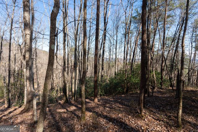 LOT 5 AND LOT 6 Chimney Mountain Road, Sautee Nacoochee, GA 30571