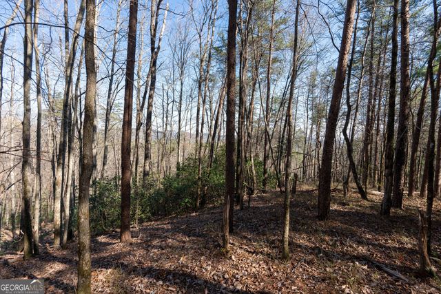 LOT 5 AND LOT 6 Chimney Mountain Road, Sautee Nacoochee, GA 30571