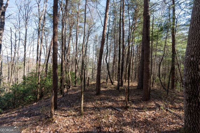 LOT 5 AND LOT 6 Chimney Mountain Road, Sautee Nacoochee, GA 30571
