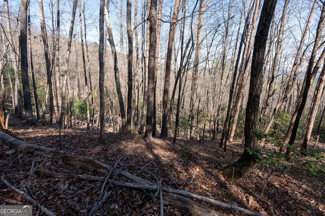 LOT 5 AND LOT 6 Chimney Mountain Road, Sautee Nacoochee, GA 30571