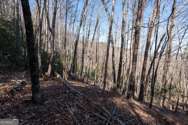 LOT 5 AND LOT 6 Chimney Mountain Road, Sautee Nacoochee, GA 30571