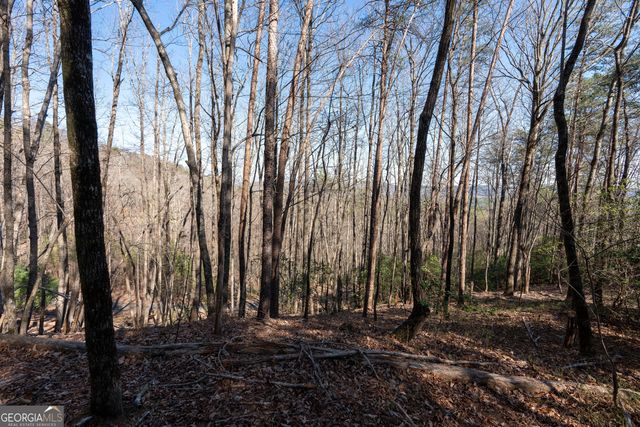 LOT 5 AND LOT 6 Chimney Mountain Road, Sautee Nacoochee, GA 30571