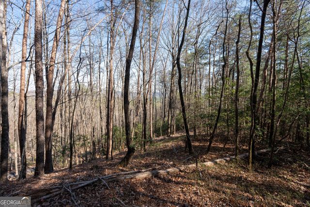 LOT 5 AND LOT 6 Chimney Mountain Road, Sautee Nacoochee, GA 30571