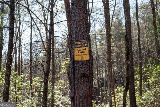 LOT 5 AND LOT 6 Chimney Mountain Road, Sautee Nacoochee, GA 30571