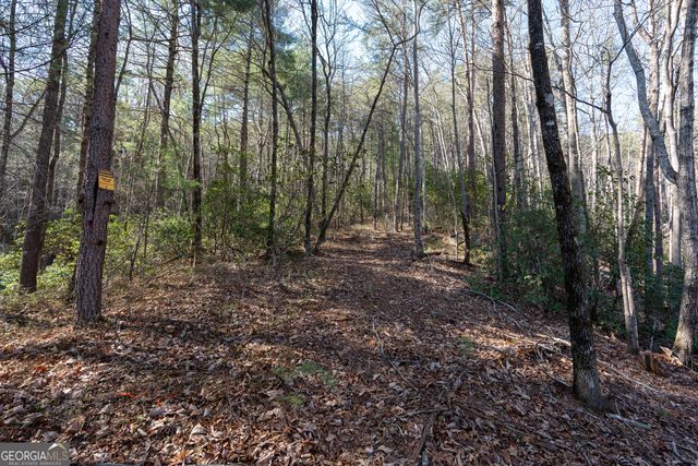 LOT 5 AND LOT 6 Chimney Mountain Road, Sautee Nacoochee, GA 30571