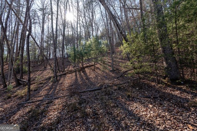 LOT 5 AND LOT 6 Chimney Mountain Road, Sautee Nacoochee, GA 30571