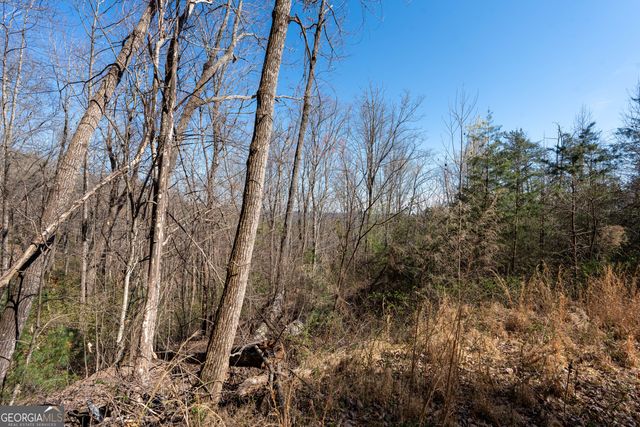 LOT 5 AND LOT 6 Chimney Mountain Road, Sautee Nacoochee, GA 30571