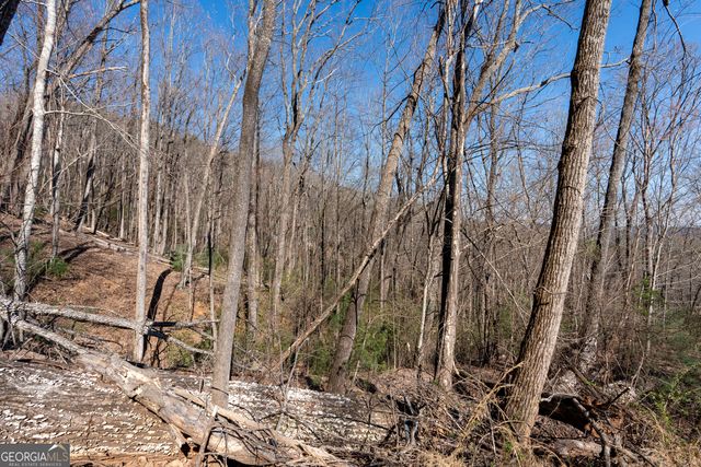 LOT 5 AND LOT 6 Chimney Mountain Road, Sautee Nacoochee, GA 30571
