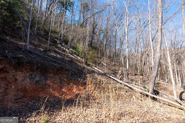 LOT 5 AND LOT 6 Chimney Mountain Road, Sautee Nacoochee, GA 30571