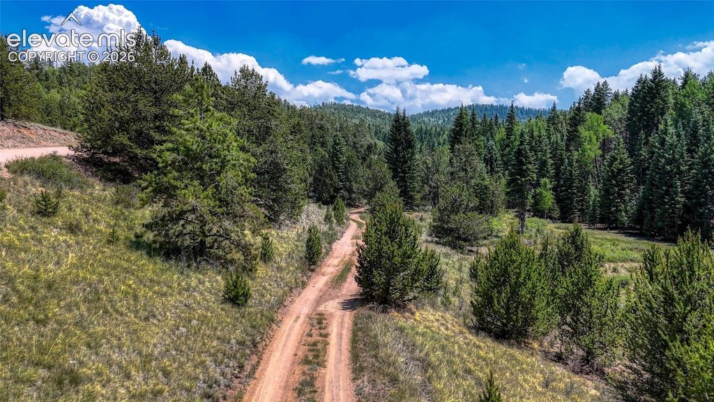 Highway 67, Cripple Creek, CO 80813 — photo 3