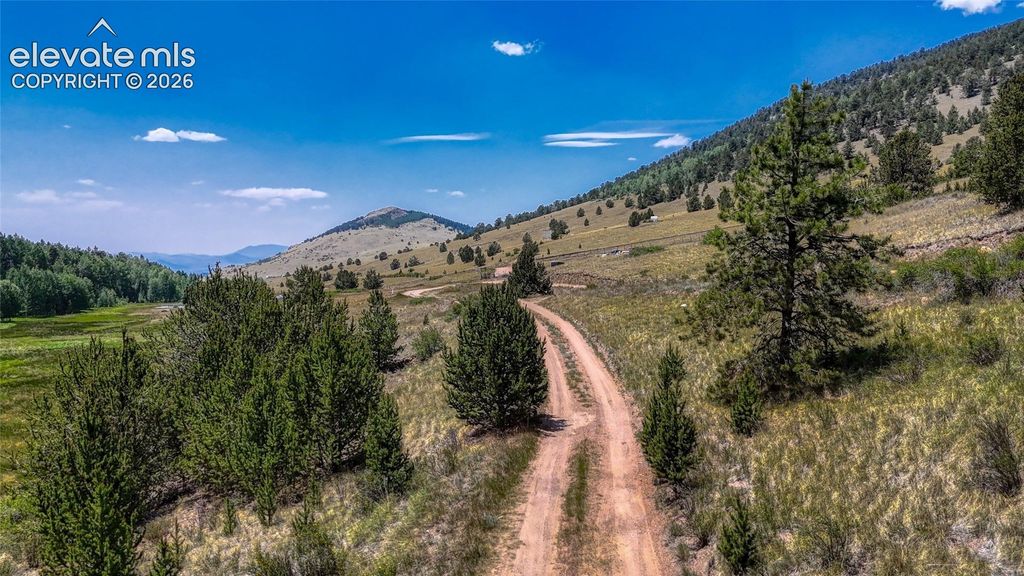Highway 67, Cripple Creek, CO 80813 — photo 4