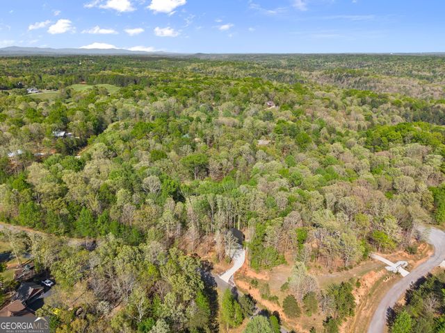 162 Hickory Ridge Drive, Cleveland, GA 30528
