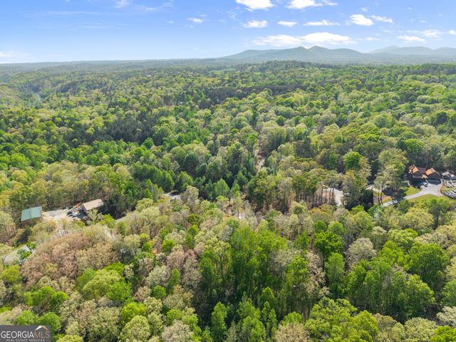 162 Hickory Ridge Drive, Cleveland, GA 30528