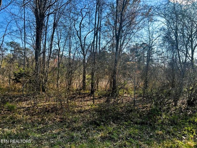 3 Lamontville Rd, Decatur, TN 37322