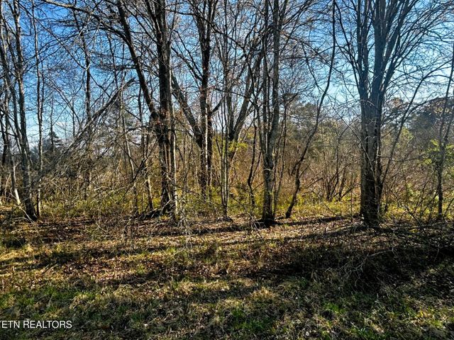 3 Lamontville Rd, Decatur, TN 37322