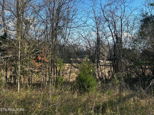 3 Lamontville Rd, Decatur, TN 37322